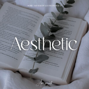 10 Aesthetic Lightroom Presets