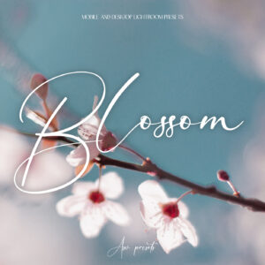 10 Blossom Lightroom Presets