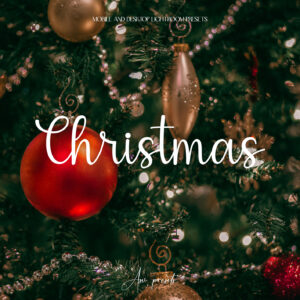 10 Christmas Lightroom Presets
