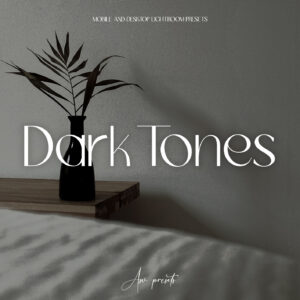 10 Dark Tones Lightroom Presets