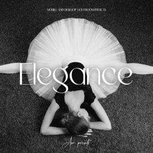 10 Elegance B&W Lightroom Presets