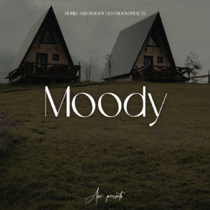 10 Moody Lightroom Presets