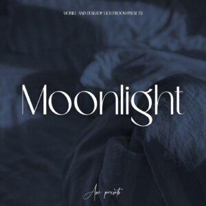 10 Moonlight Effect Lightroom Presets