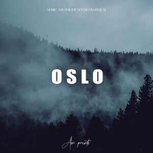 10 Oslo Lightroom Presets