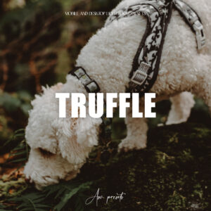 10 Truffle Lightroom Presets