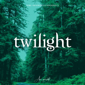 10 Twilight Inspired Lightroom Presets