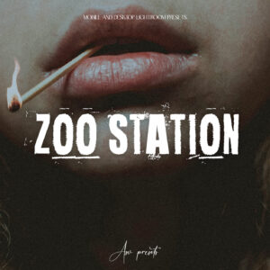 10 ZOO STATION Lightroom Presets
